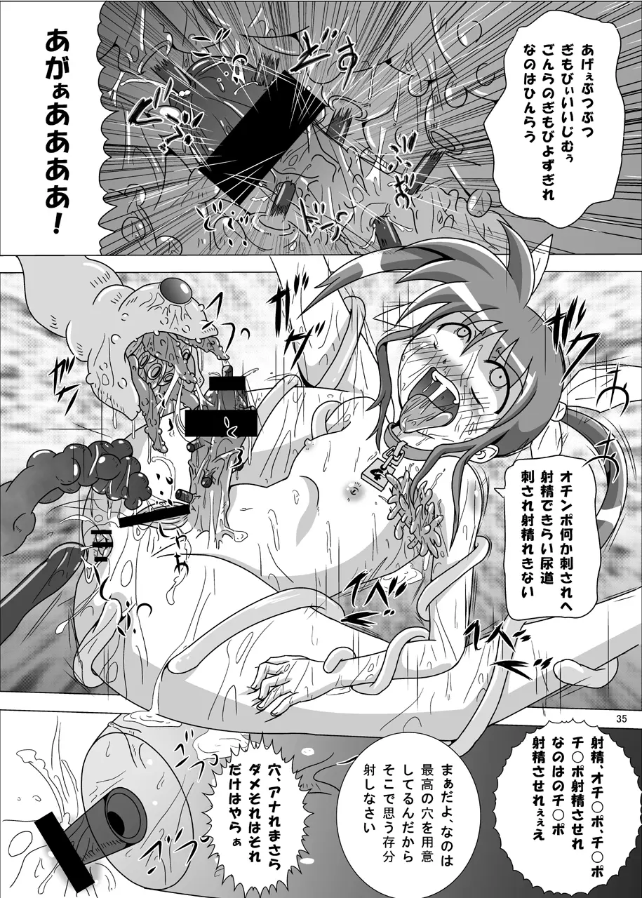 紅の書 ~フェ○ト編~ Page.36