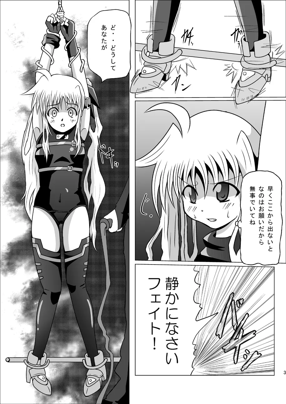 紅の書 ~フェ○ト編~ Page.4
