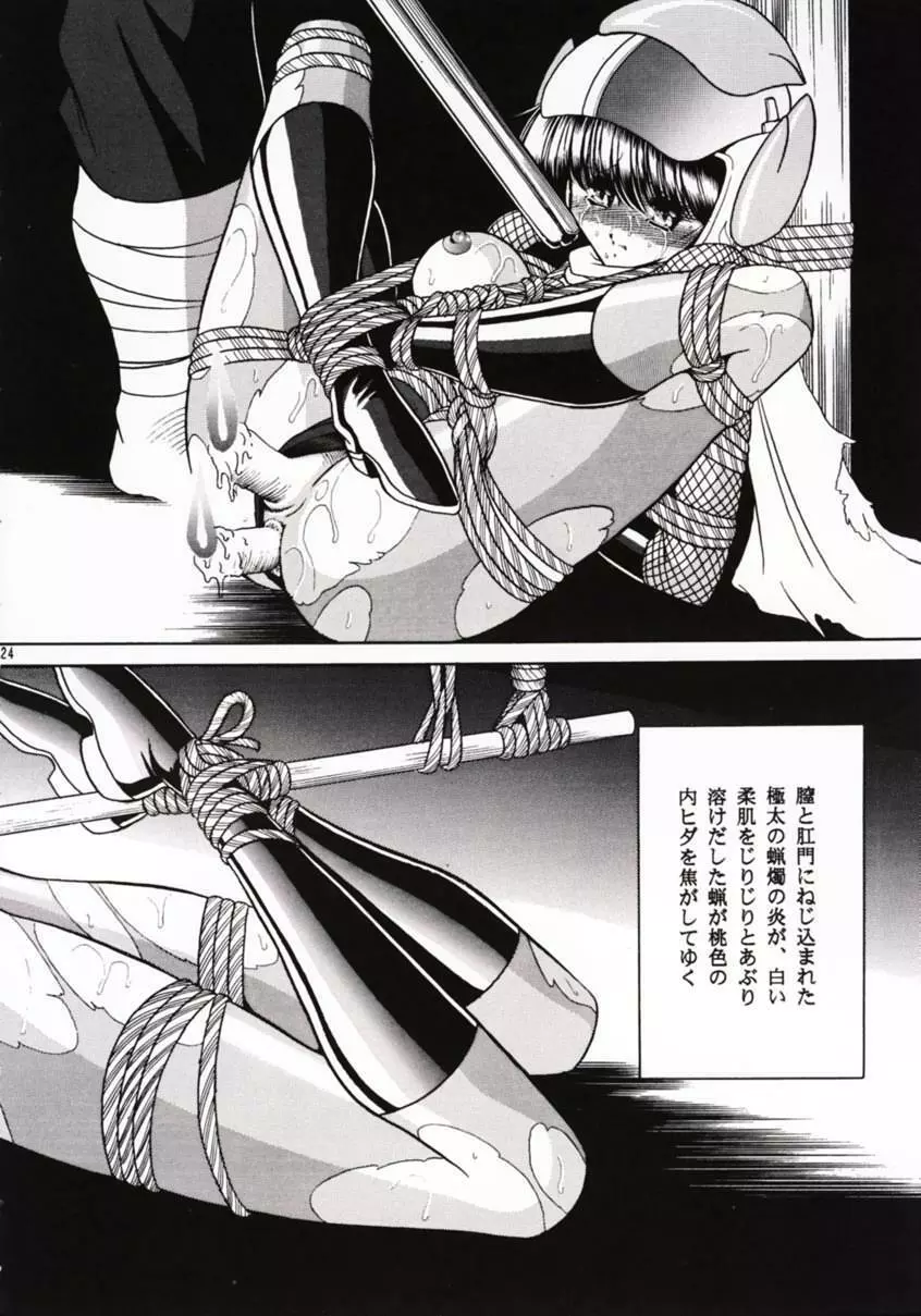 花忍武芸帳 Page.23