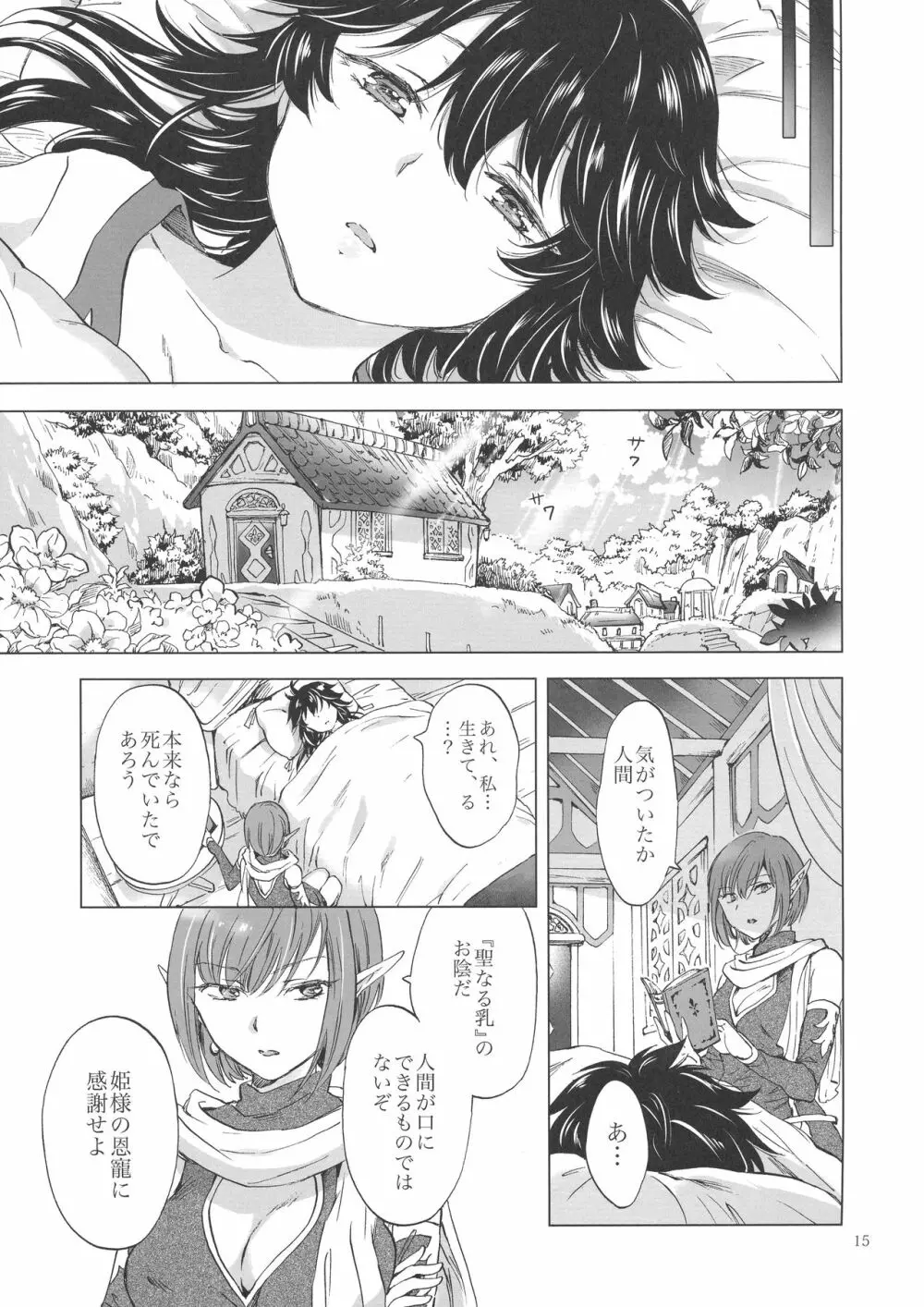 聖なる乳のエルフ姫 Page.14