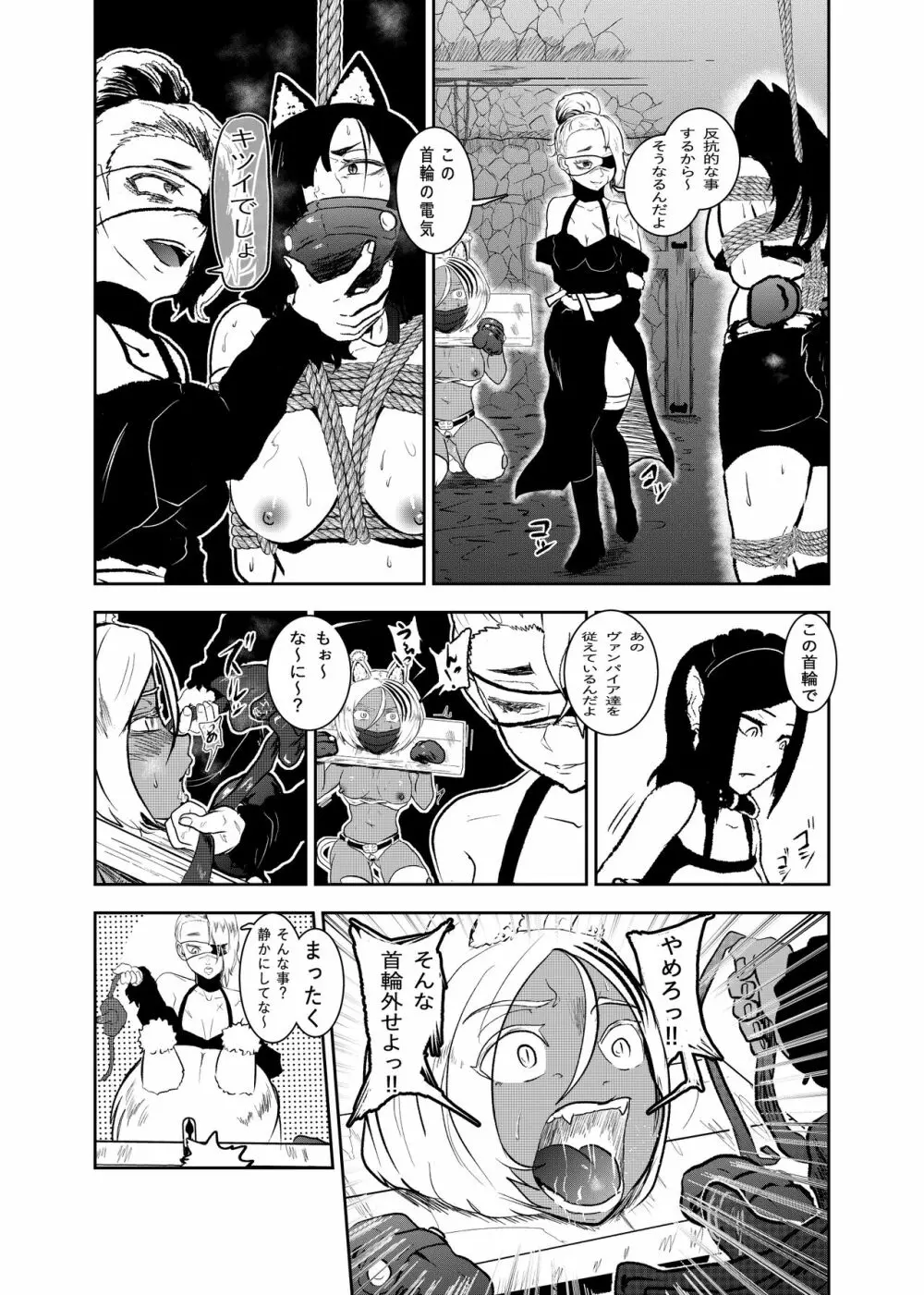 ヴァンパレイド8 ～白猫 黒狼 拘束編～ Page.11