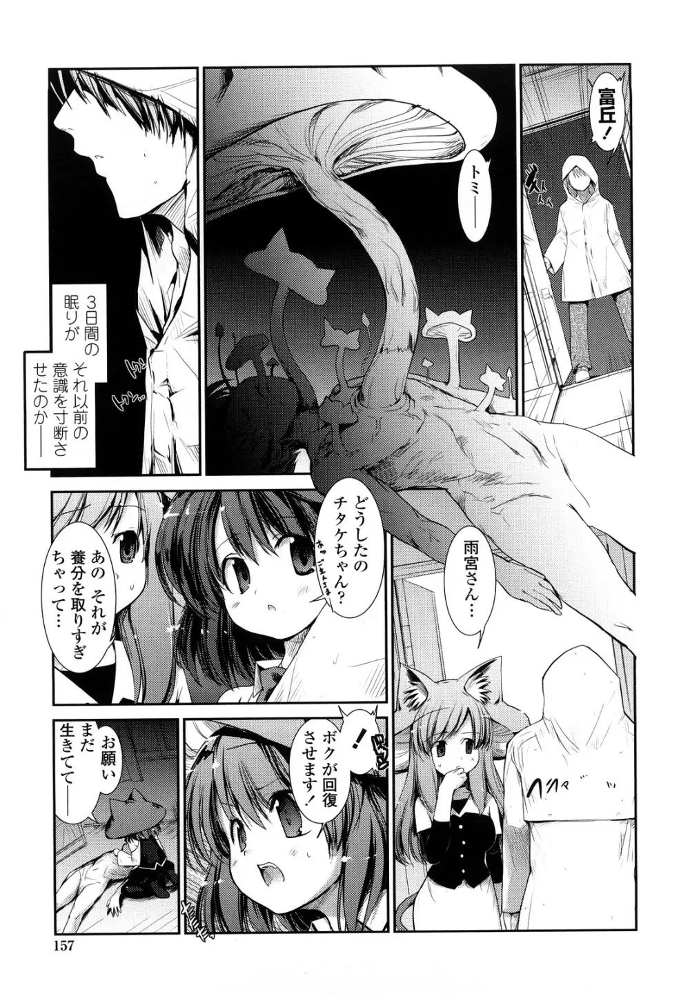 ネコキノと雨の町 Page.157