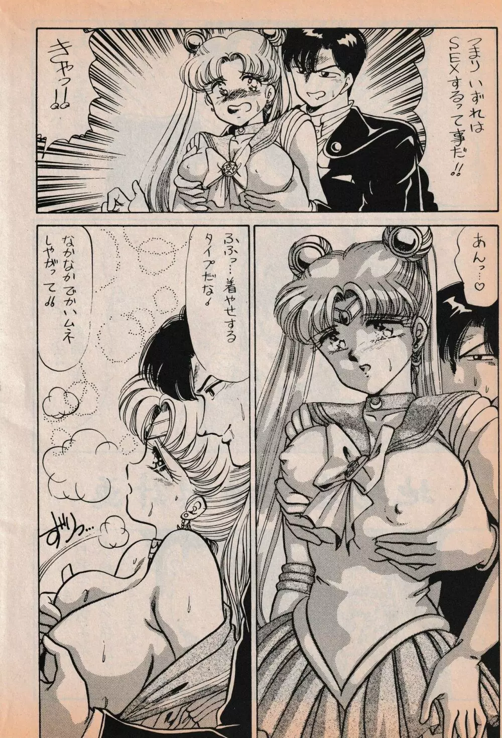 Sailor X vol. 7 - The Kama Sutra Of Pain Page.3