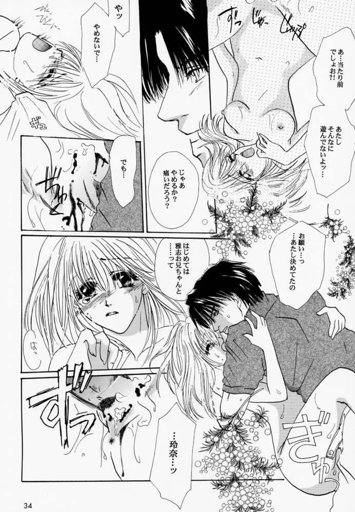 ルーズソックス推進委員会会報 Page.33