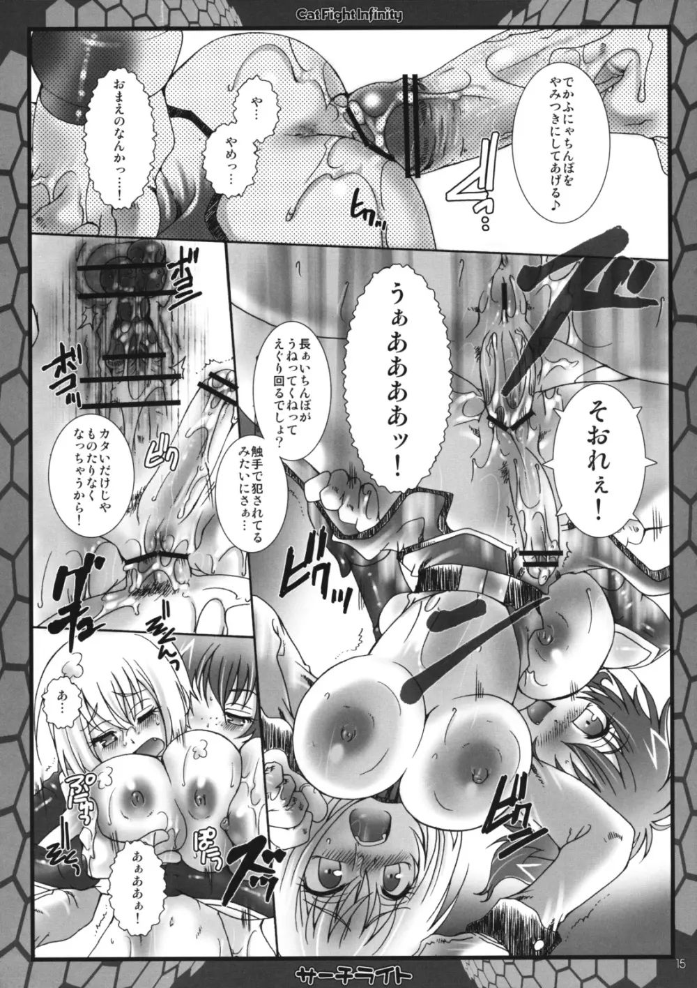 キャットファイトインフィニティ Page.14