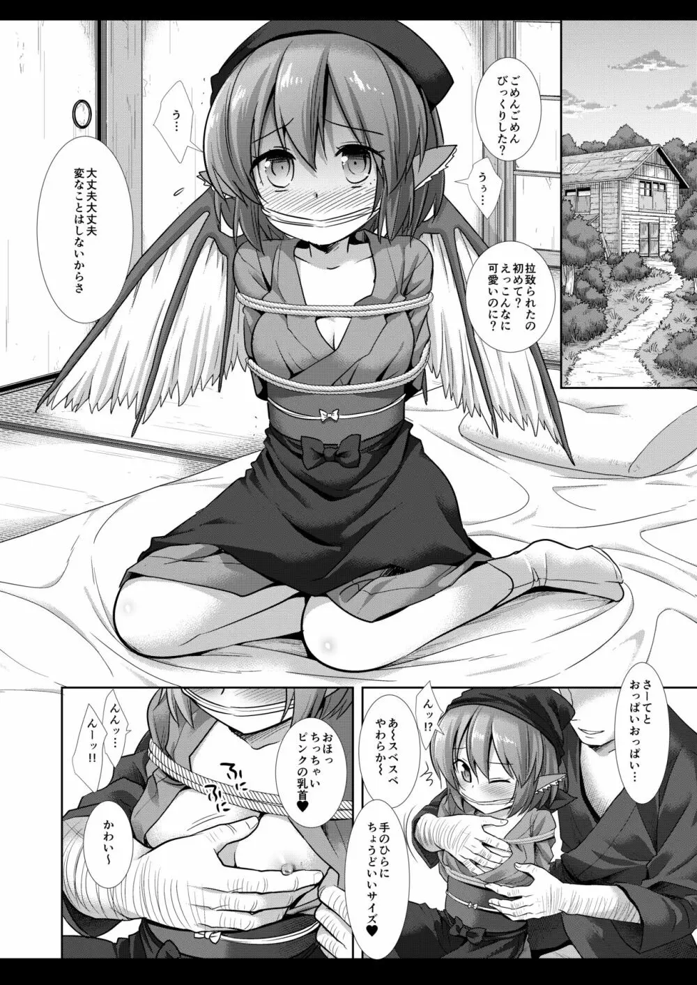 東方陵辱44 ミスティア・ローレライ Page.5