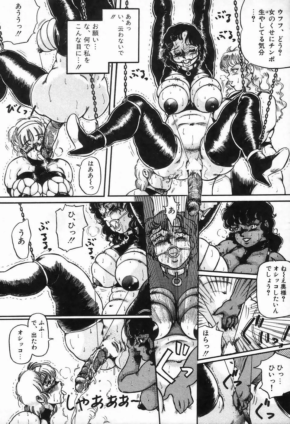 ビザールコレクション 1 Page.144