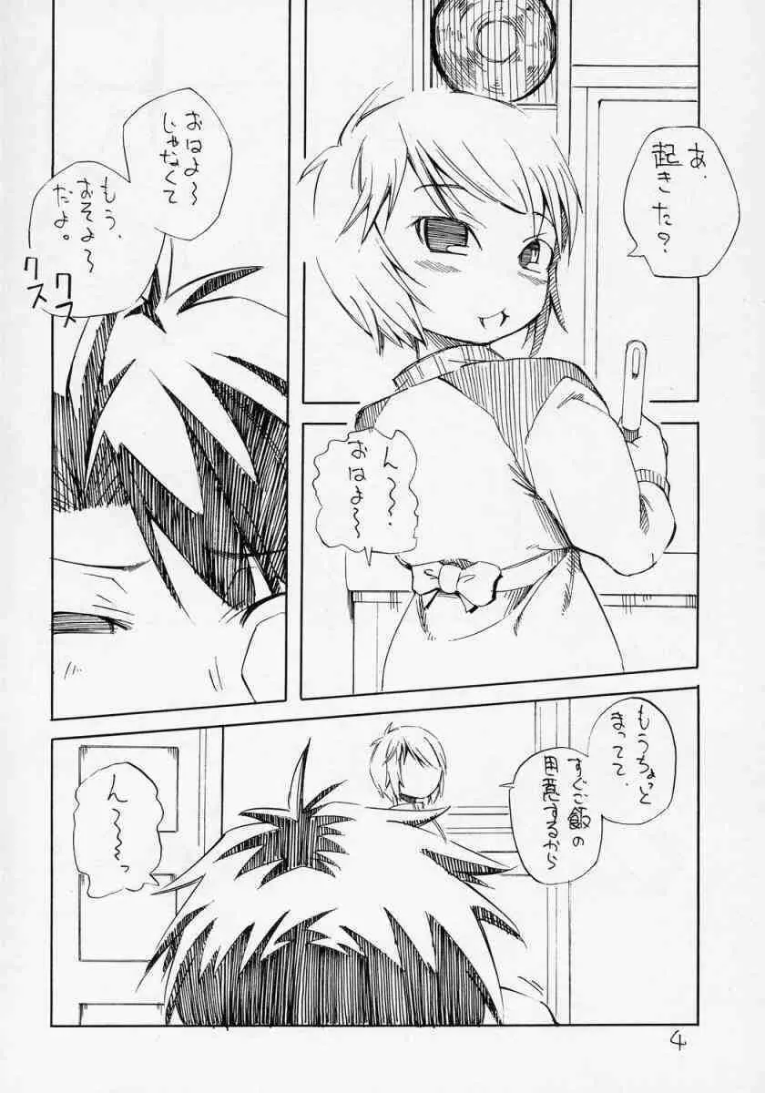 ある朝目が覚めたら、人間になった蒼星石が台所に立っていたという妄想をマンガにした本。 Page.3