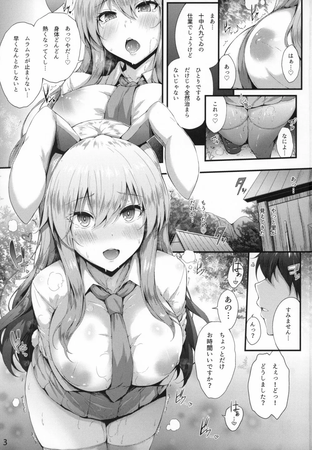 みだれうさぎ Page.2