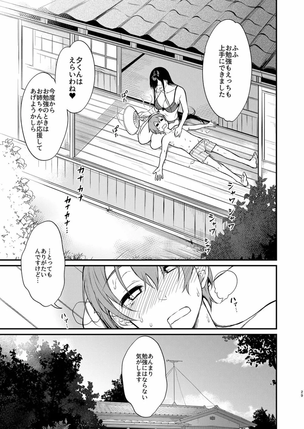 姉なるもの全集2 Page.29