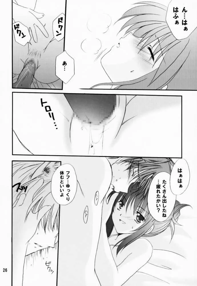 恋愛の教訓 V Page.25