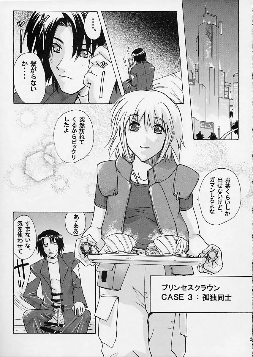 G-SEED Princes Page.28