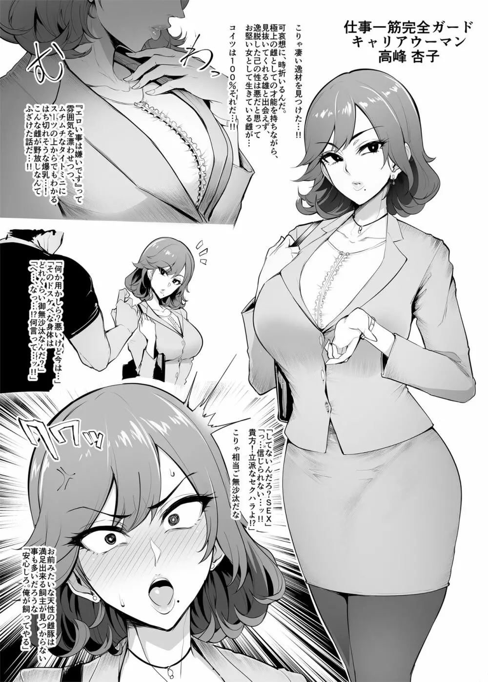 メス共の4ページ調教記録集 Page.11