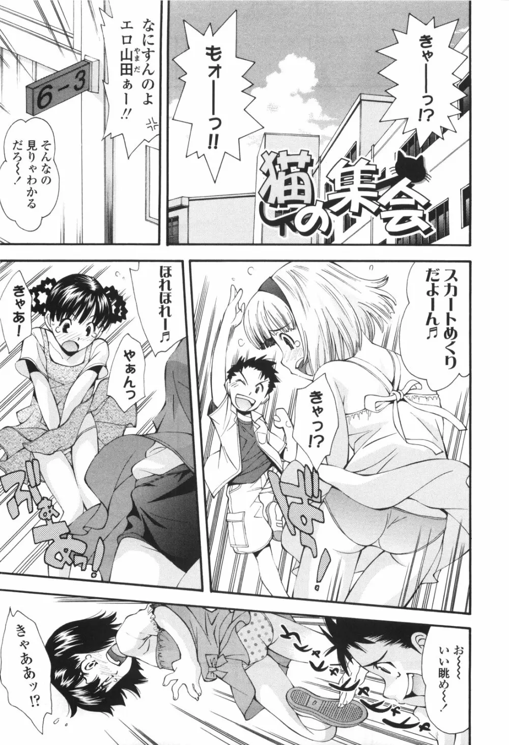 裏山のひみつ基地 Page.8