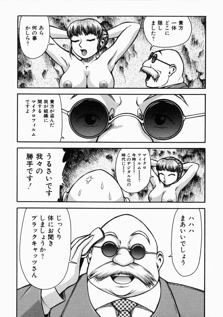 A氏の異常な愛情 Page.12