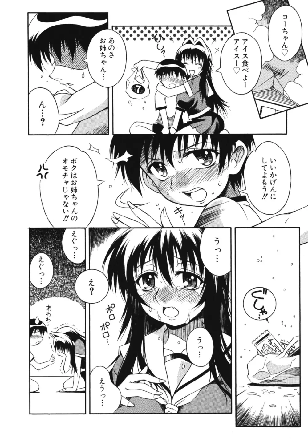 姉肉淫夢 Page.26