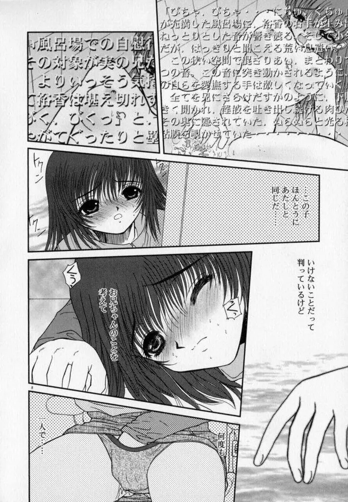 フォトグラフ Page.12