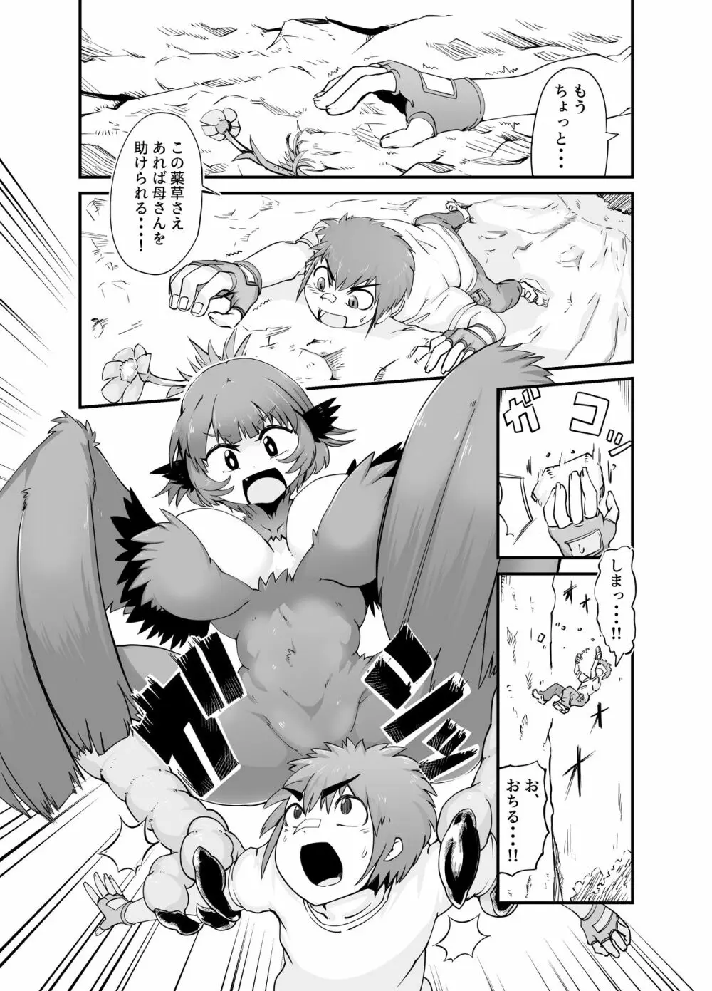 ぶっとび!ハーピィガール☆ Page.3