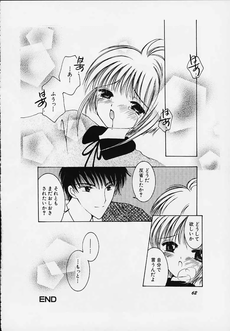 Apricot Collection Page.59