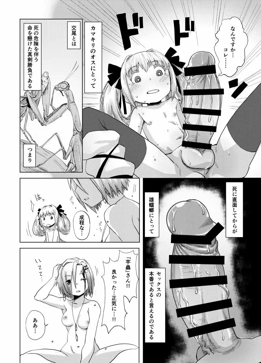 華蟷螂の♂ Page.11
