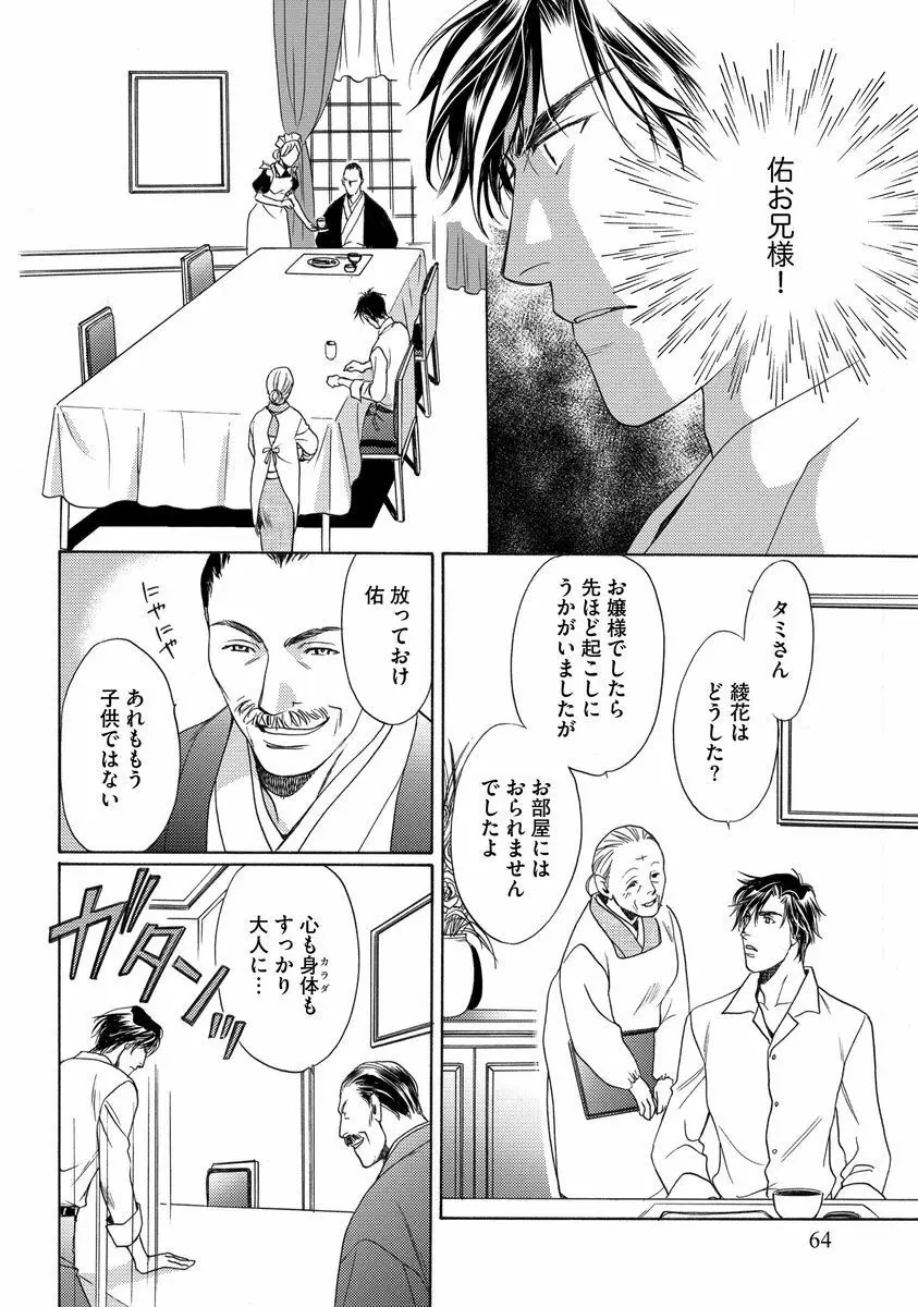 妹妾～お兄さま、もう許して～ Page.65