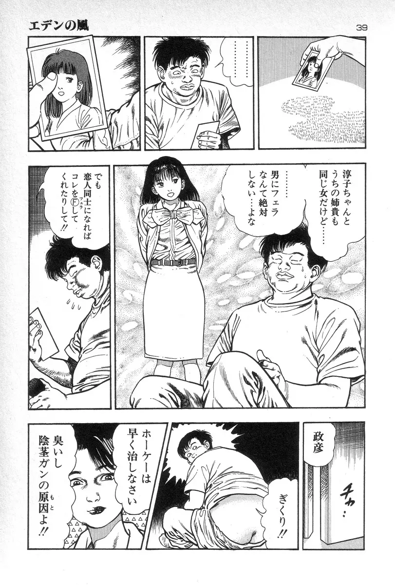 エデンの風 Page.41