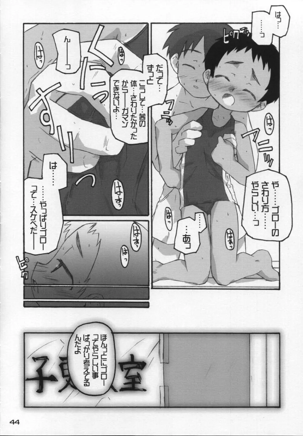 なつのかんさつにっき Page.43