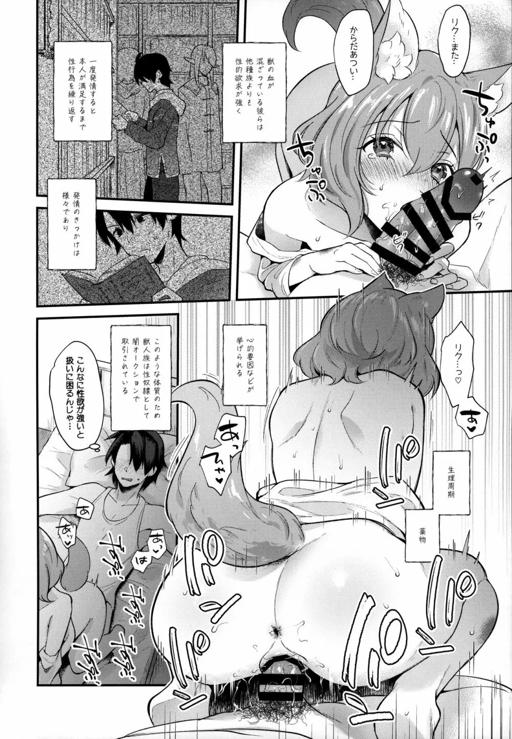 けもけもみみみみ Page.13