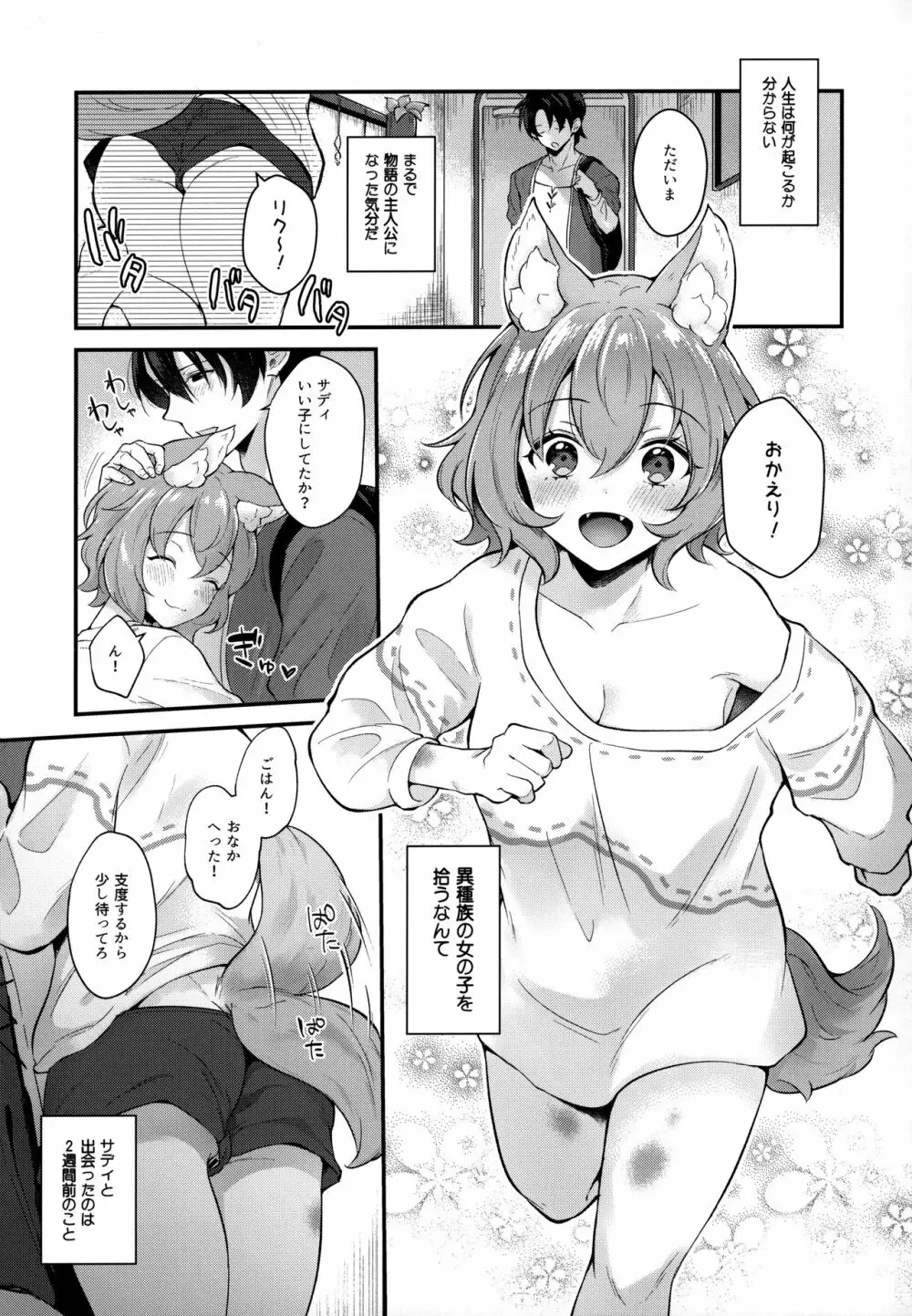 けもけもみみみみ Page.6