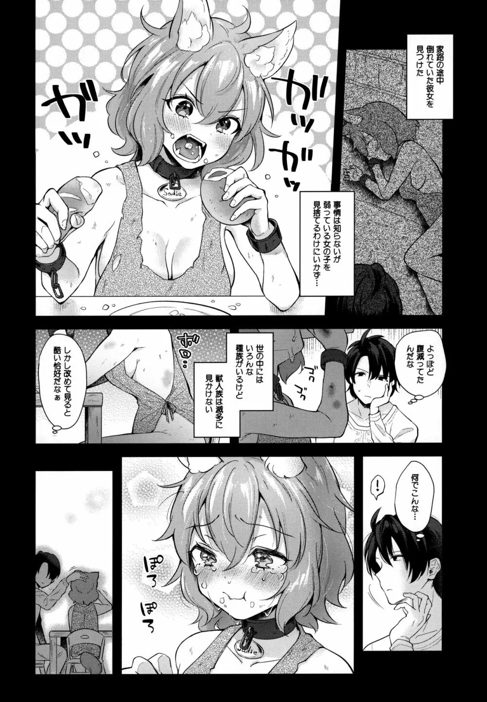 けもけもみみみみ Page.7