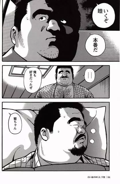 白い血のゆくえ 下卷 Page.85