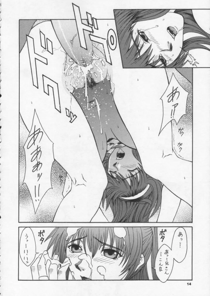 R25 Vol.6 D^3 Page.13