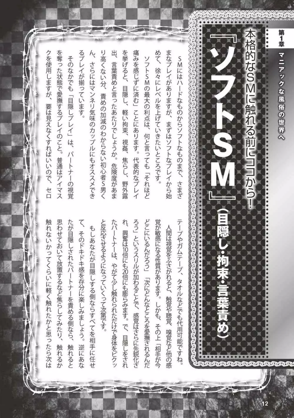 アブノーマル風俗入門 ラブドール風俗から、1000万円の風俗嬢まで Page.14