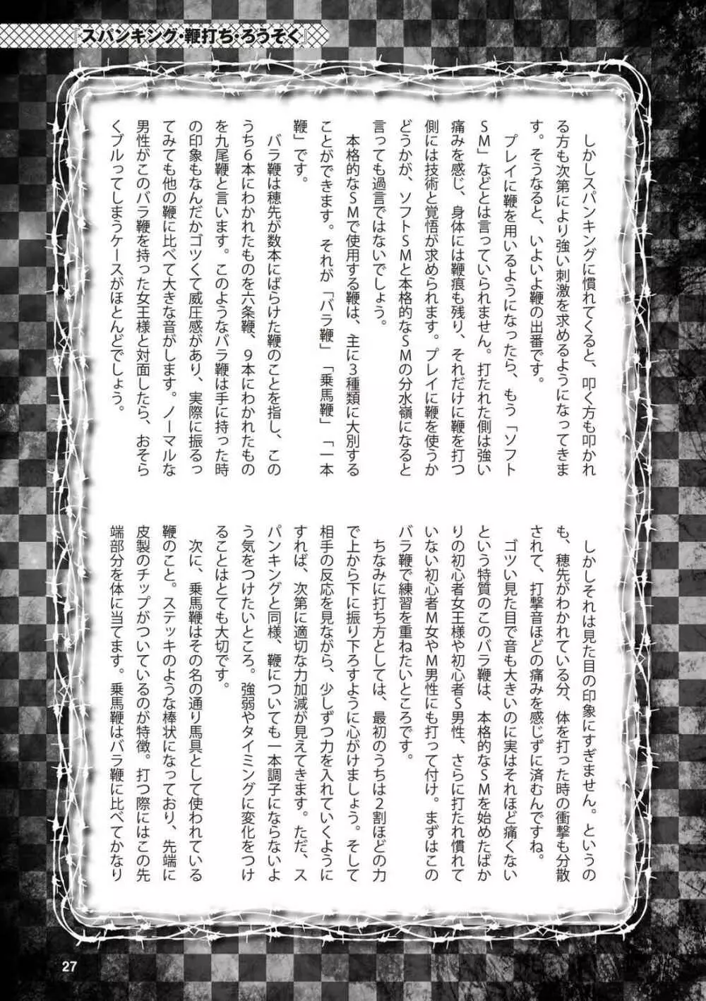 アブノーマル風俗入門 ラブドール風俗から、1000万円の風俗嬢まで Page.29
