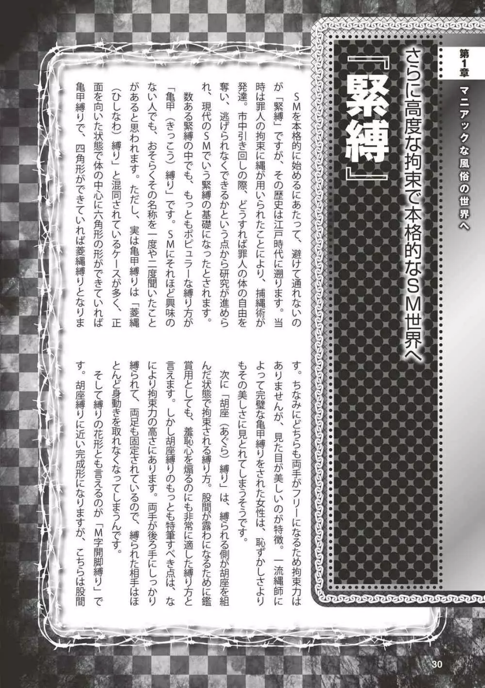 アブノーマル風俗入門 ラブドール風俗から、1000万円の風俗嬢まで Page.32