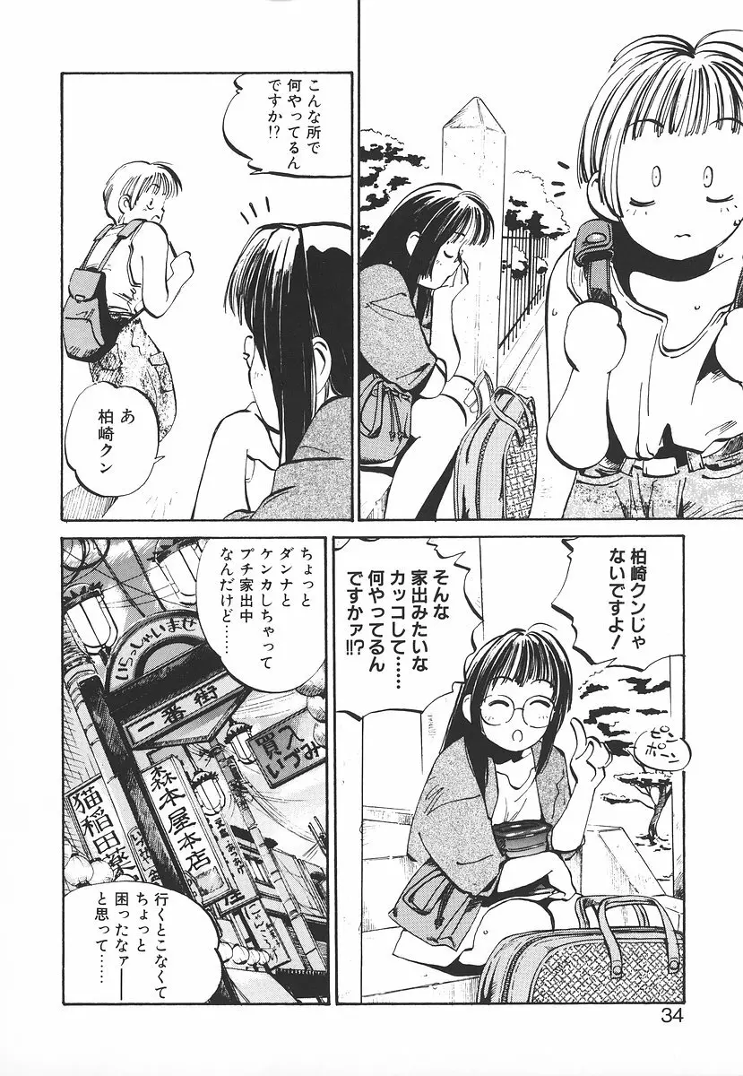 シュミの小部屋 Page.34