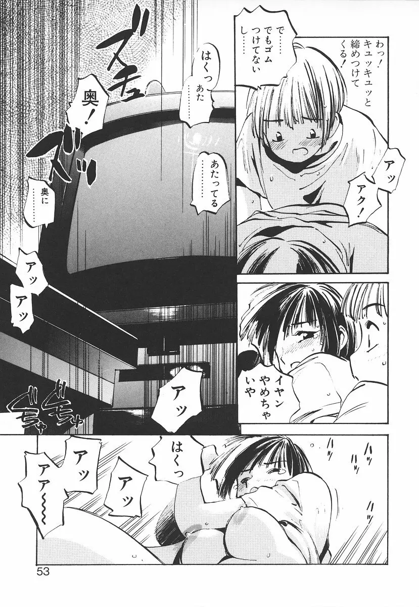 シュミの小部屋 Page.53