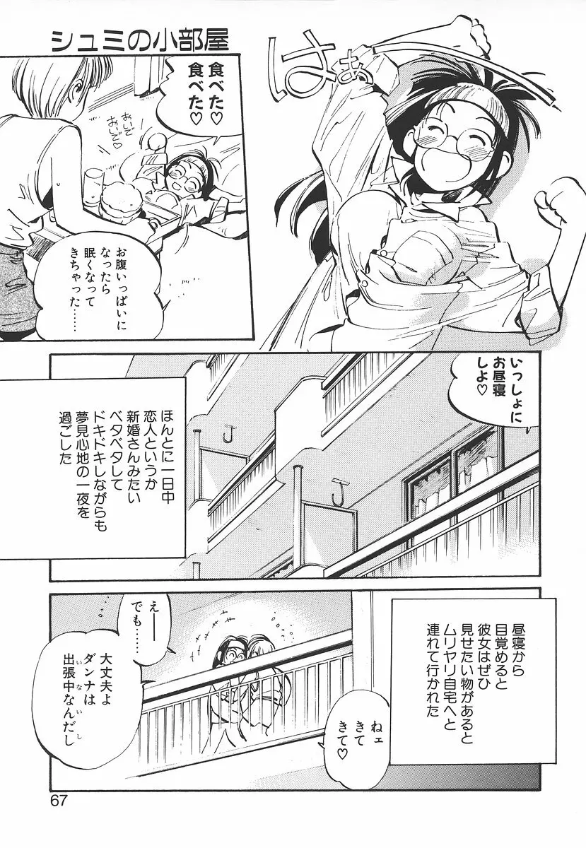 シュミの小部屋 Page.67