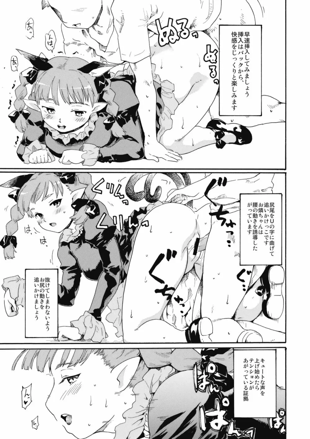 東方浮世絵巻 火焔猫の飼い方・地獄鴉の育て方 Page.5