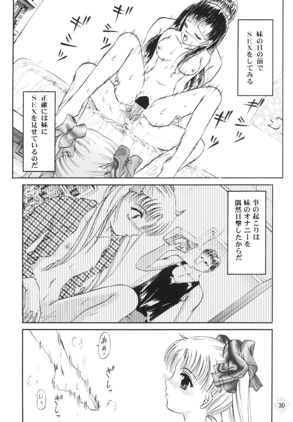 少女姦禁 3 Page.29