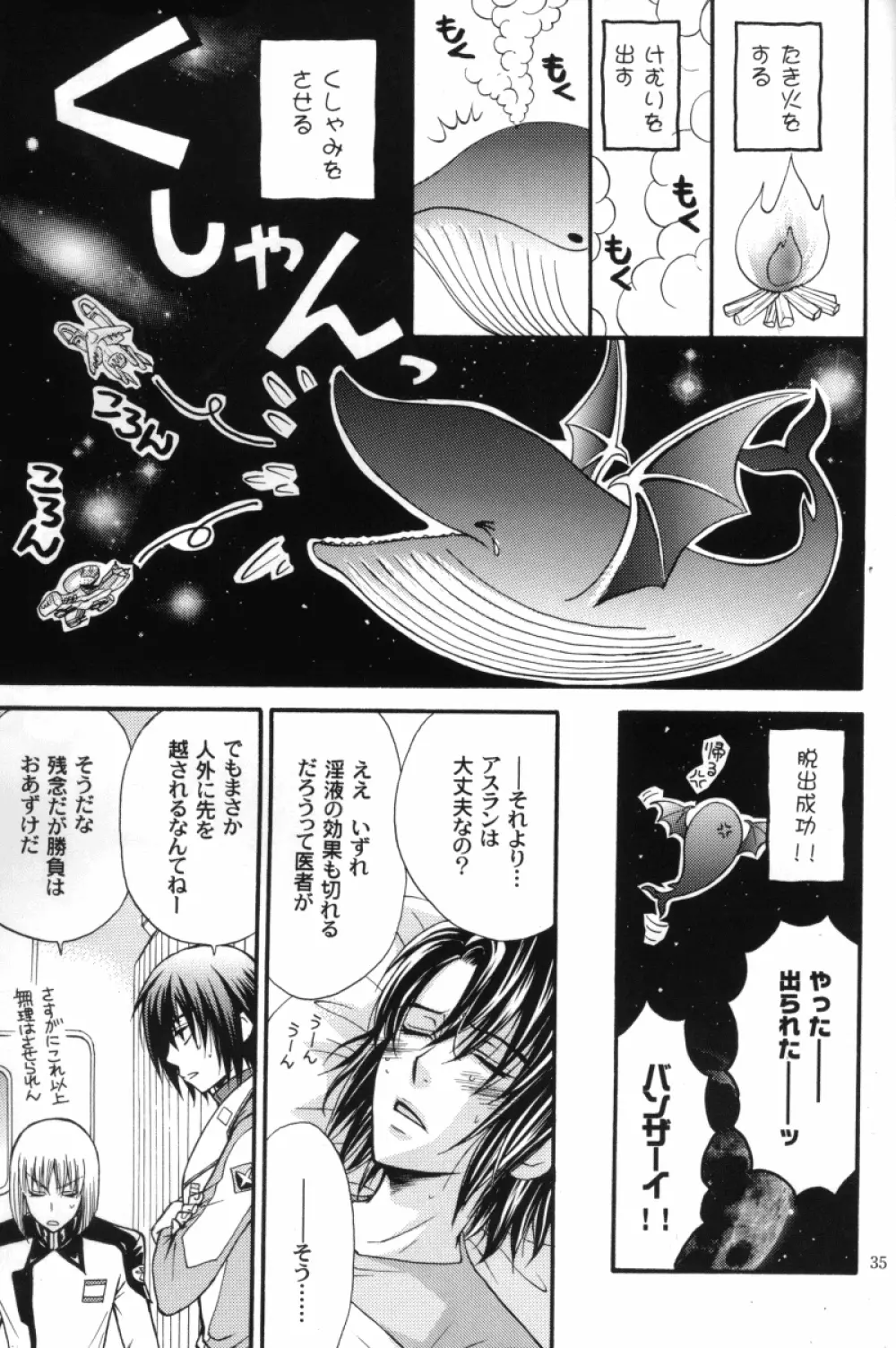 縛アスラン。～宇宙からの侵略者!?アスラン触手地獄!!～ Page.34