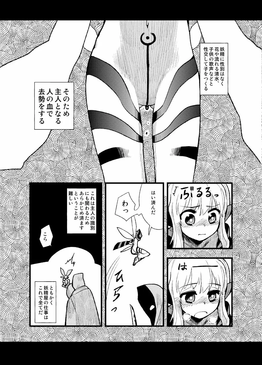 フェルナンデス ピクシー ショップ Page.16