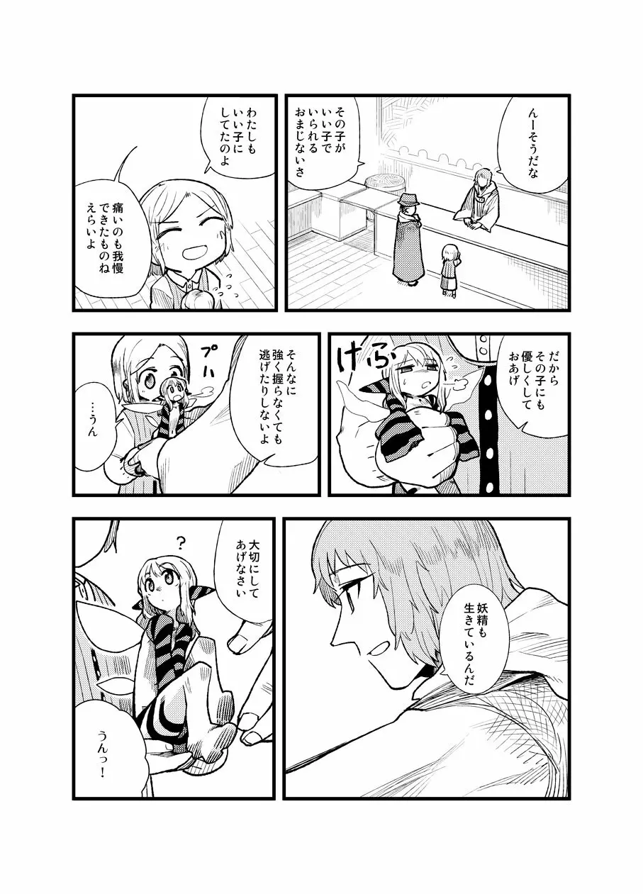 フェルナンデス ピクシー ショップ Page.18