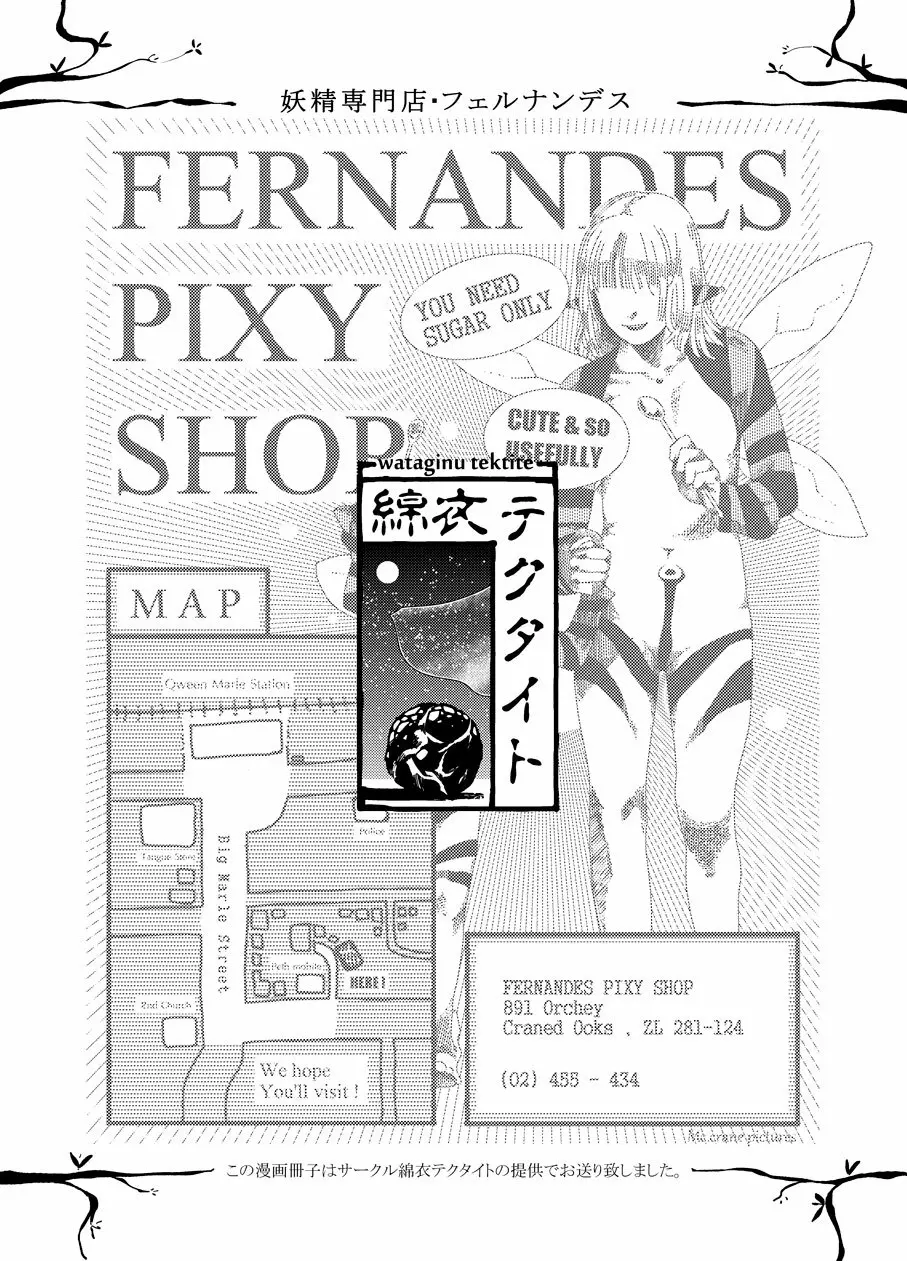 フェルナンデス ピクシー ショップ Page.21