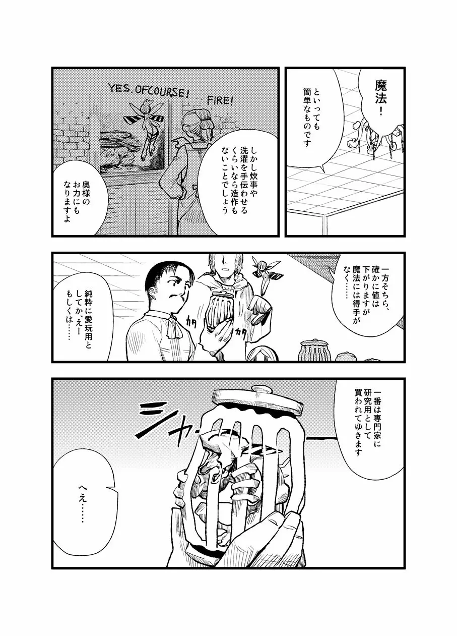 フェルナンデス ピクシー ショップ Page.6