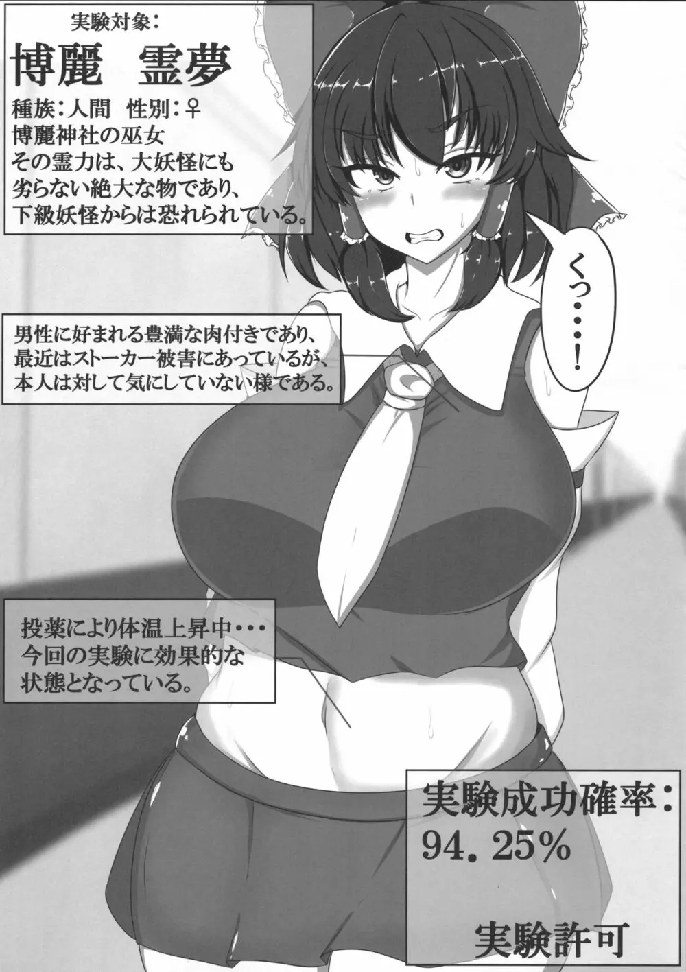 東方婚姻録~博麗霊夢編~ Page.2