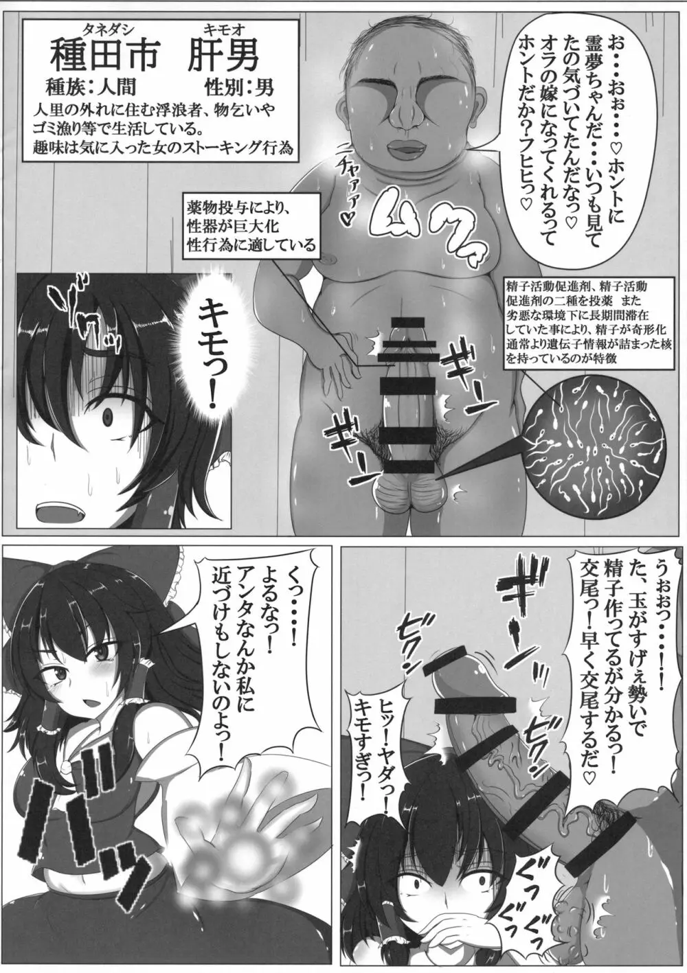 東方婚姻録~博麗霊夢編~ Page.5