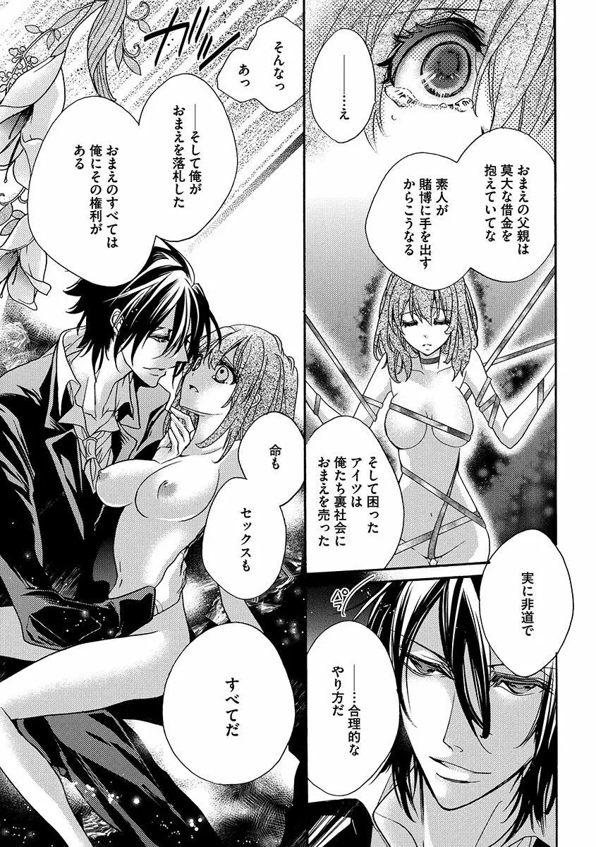 鬼畜兄弟の悶絶調教～私はいいなり奴隷～ Page.25