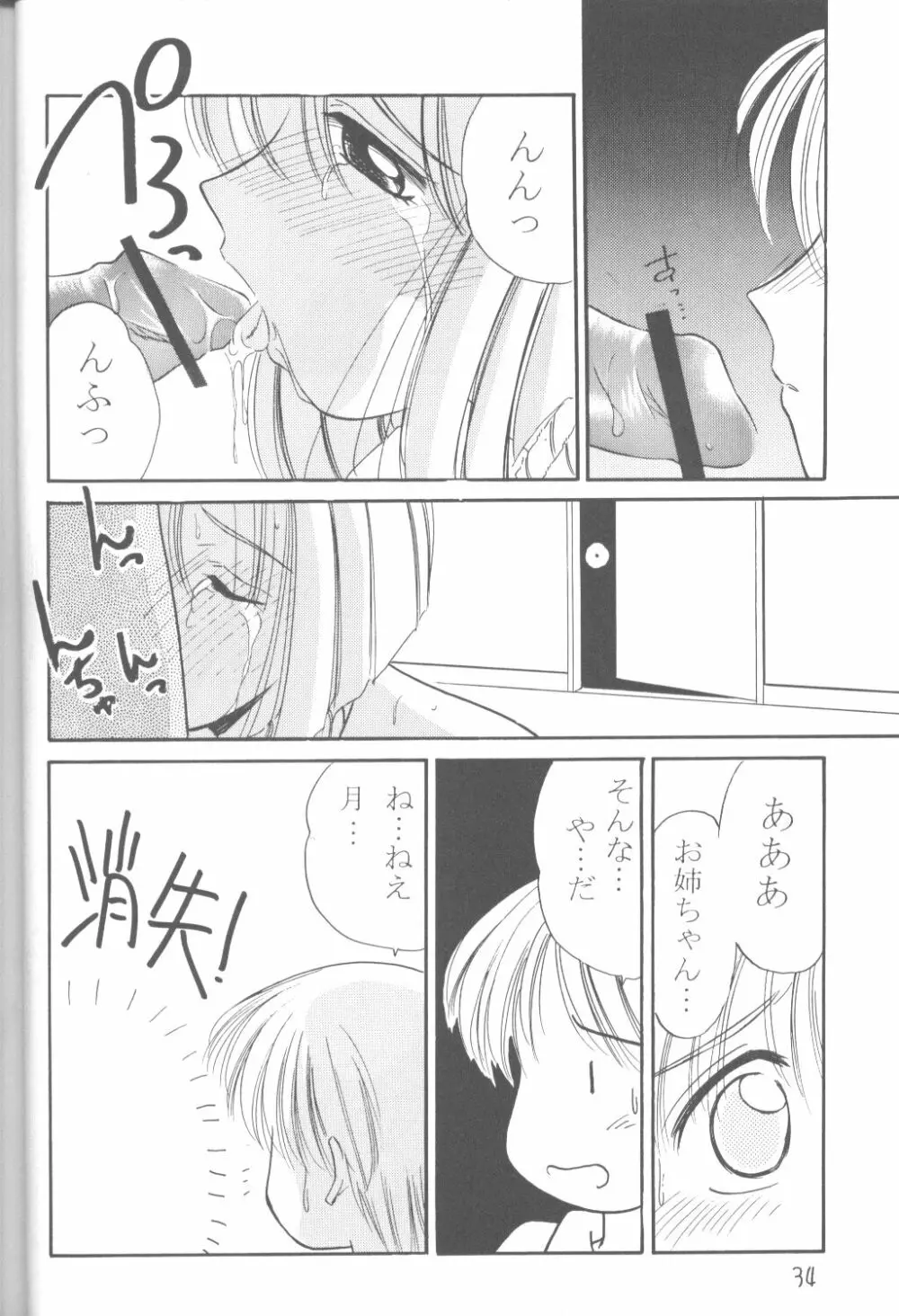 ファンシア育成日記 Page.32