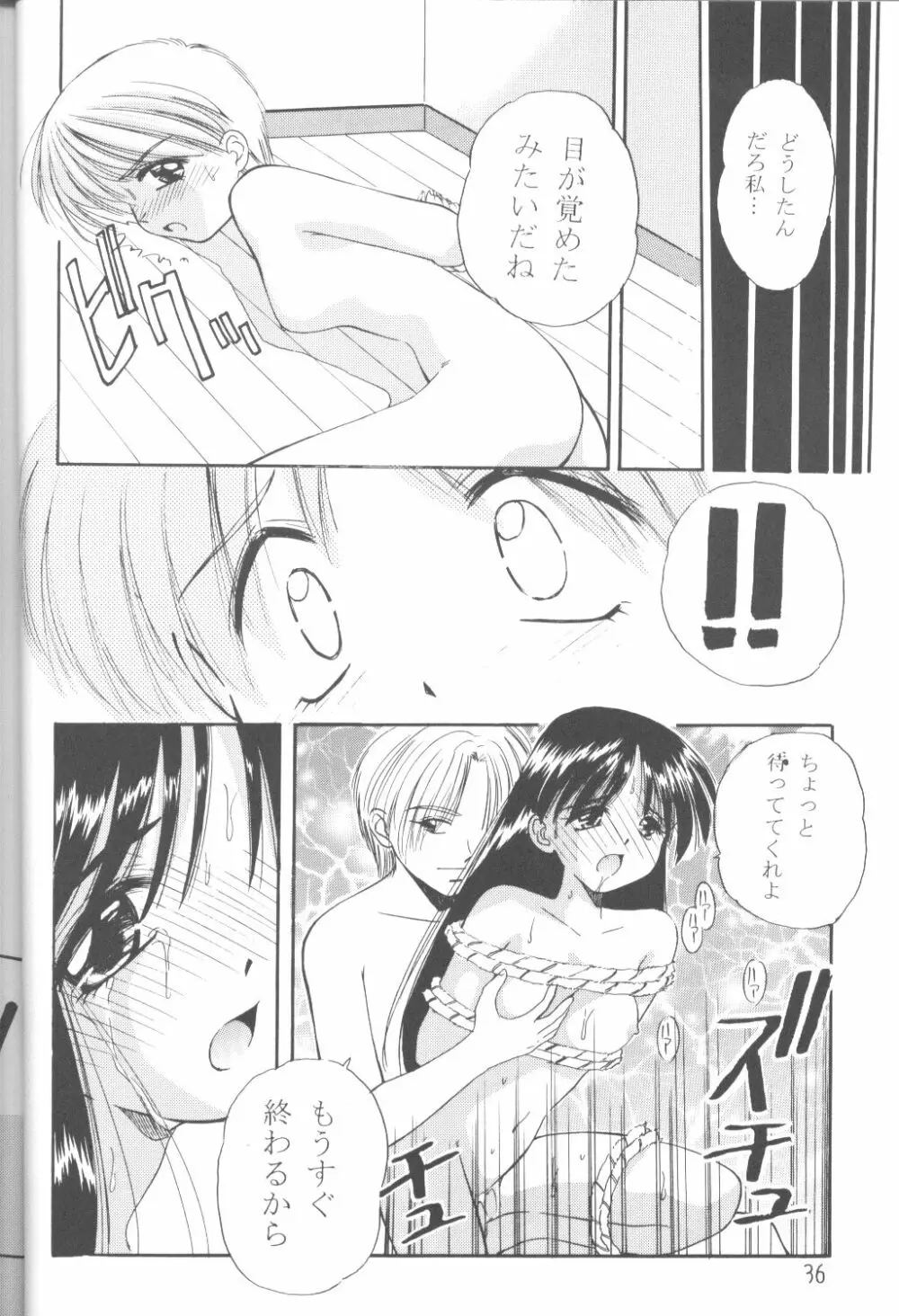 ファンシア育成日記 Page.34